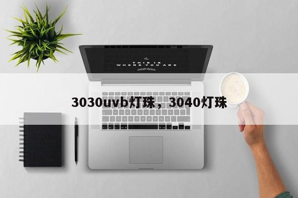 3030uvb灯珠，3040灯珠-第1张图片-LED灯珠-LED灯珠贴片-LED灯珠厂家台宏光电