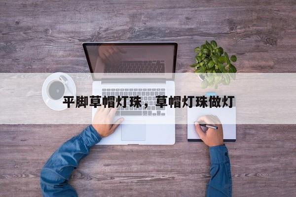 平脚草帽灯珠，草帽灯珠做灯-第1张图片-LED灯珠-LED灯珠贴片-LED灯珠厂家台宏光电