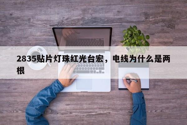 2835贴片灯珠红光台宏，电线为什么是两根-第1张图片-LED灯珠-LED灯珠贴片-LED灯珠厂家台宏光电