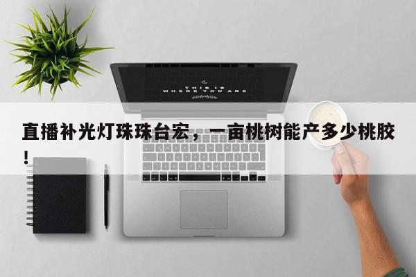 直播补光灯珠珠台宏,一亩桃树能产多少桃胶!-第1张图片-LED灯珠-LED灯珠贴片-LED灯珠厂家台宏光电 直播补光灯珠珠台宏,一亩桃树能产多少桃胶!-第1张图片-LED灯珠-LED灯珠贴片-LED灯珠厂家台宏光电
